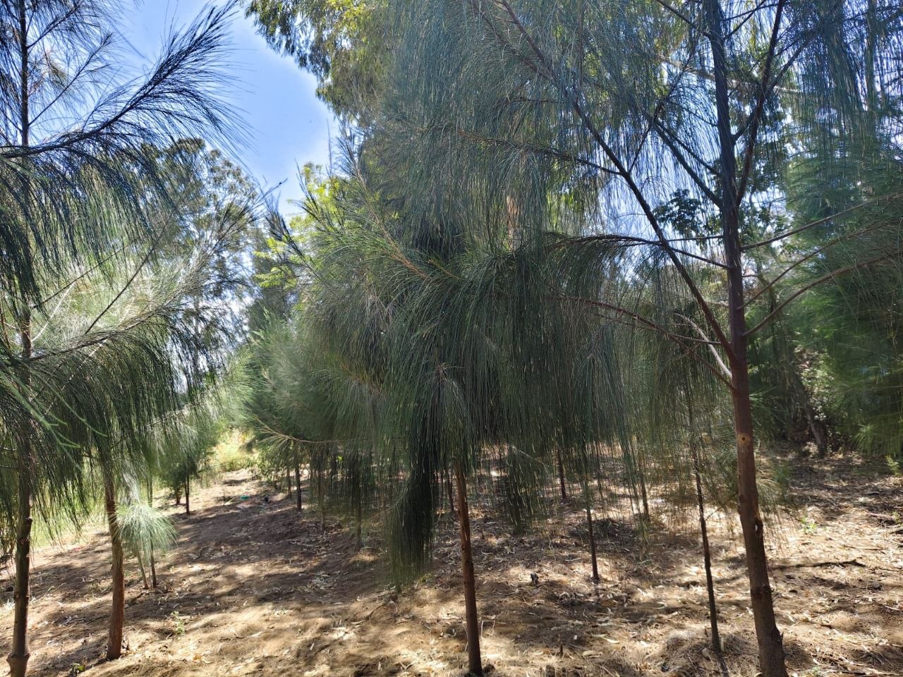 Gallery image 2