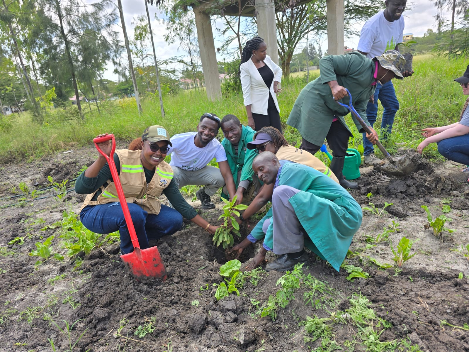 Mavoko Boys Secondary School Tree Planting